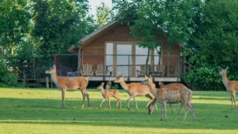 Lodge-des-cerf_PSC img (2)