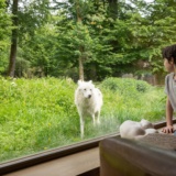 cabane-du-trappeur_lodges 36_PSC