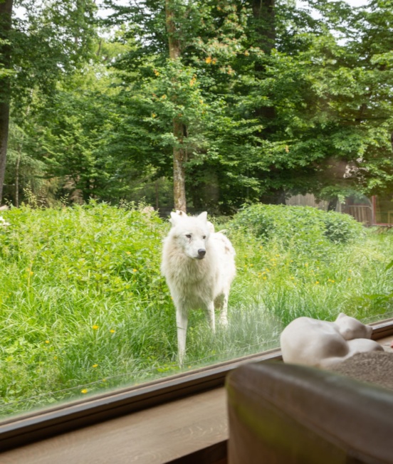 cabane-du-trappeur_lodges 36_PSC