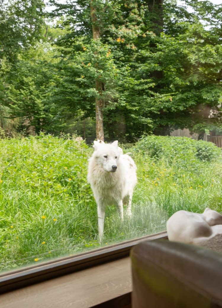 cabane-du-trappeur_lodges 36_PSC