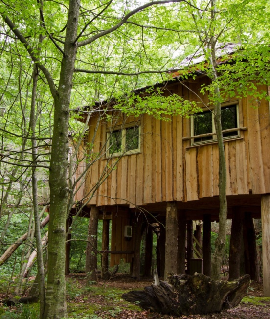 cabane-pandas-roux_lodges-nature 17_PSC