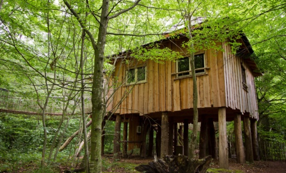 cabane-pandas-roux_lodges-nature 17_PSC
