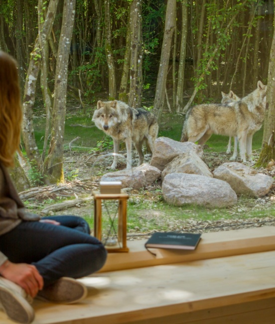 hameau-des-loups_lodges 32-PSC