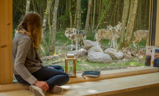 hameau-des-loups_lodges 32-PSC