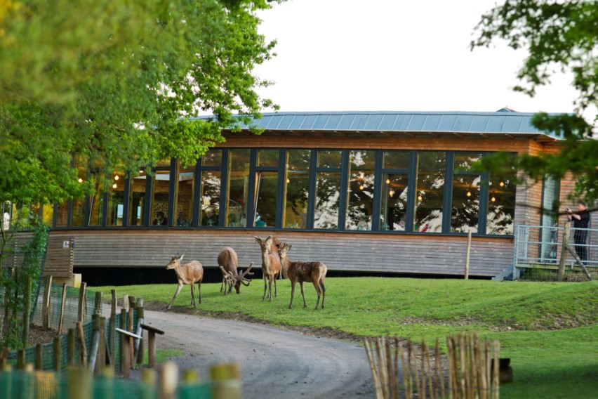 Restaurant panoramique