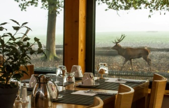 Restaurant panoramique