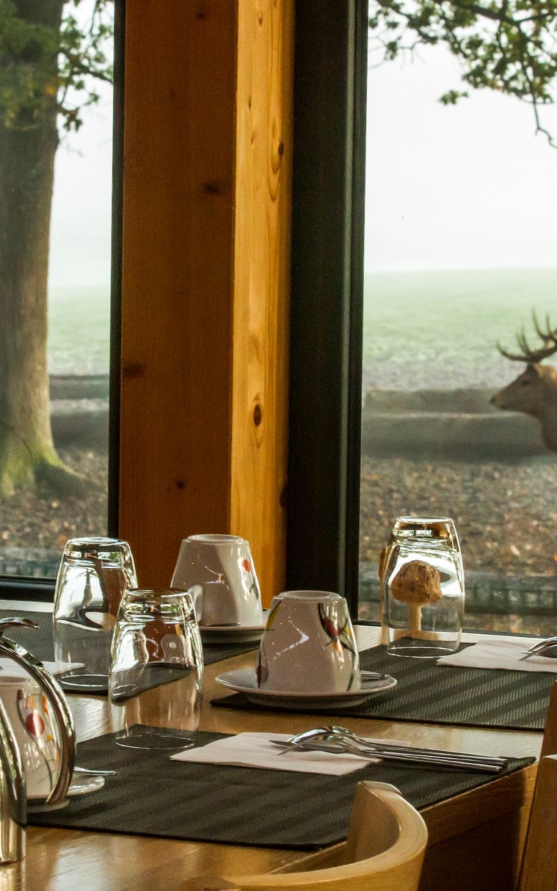 Restaurant panoramique
