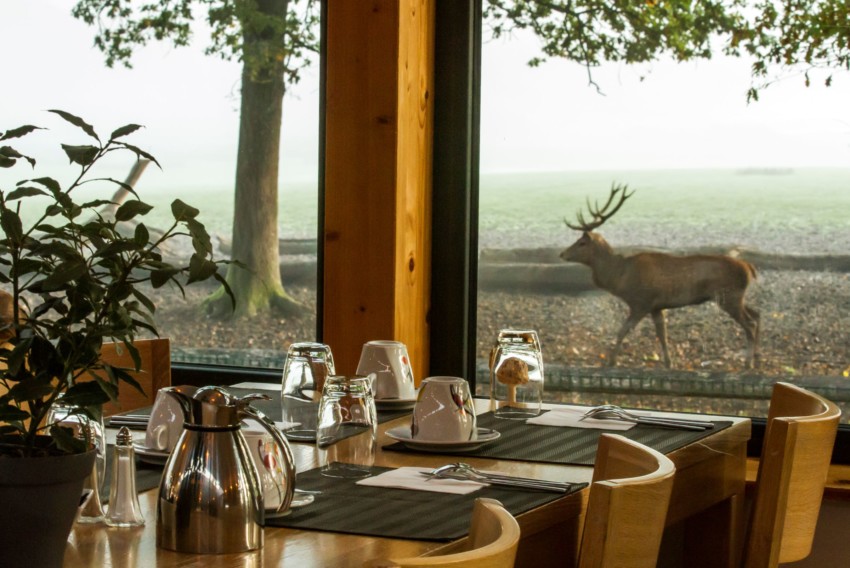 Restaurant panoramique