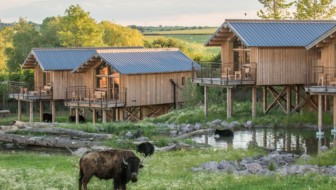 riviere-de-l'ours-noir_lodges nature 54_PSC