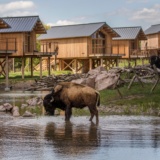 riviere-de-l'ours-noir_lodges nature 57_PSC