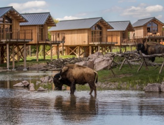 riviere-de-l'ours-noir_lodges nature 57_PSC