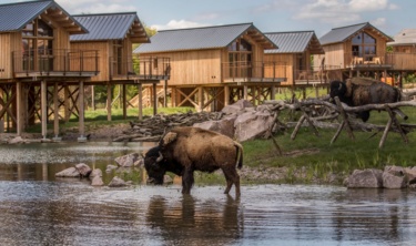 riviere-de-l'ours-noir_lodges nature 57_PSC