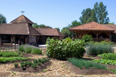 Le potager