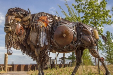Le roi de prairie
