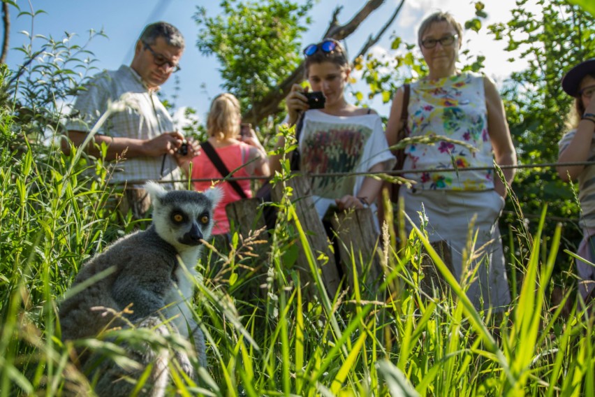 anim-grand-public_exp-nature_PSC 13 1