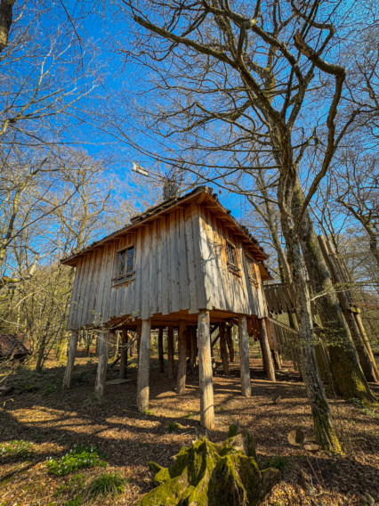 Cabane dans les arbres extérieur