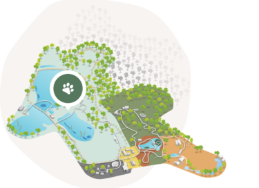 Image-Plan-Animaux-03-PSC