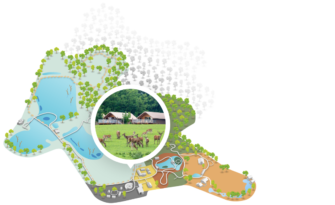 Image-Parc-Lodge-Cerfs