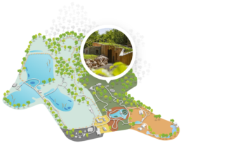 Image-Parc-Lodge-03-Loups_PSC