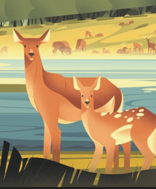 animaux-europe_decouvrir_PSC