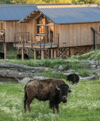 nouveau monde_decouvrir_PSC