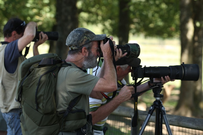 special-photograhe_exp-nature_PSC 28