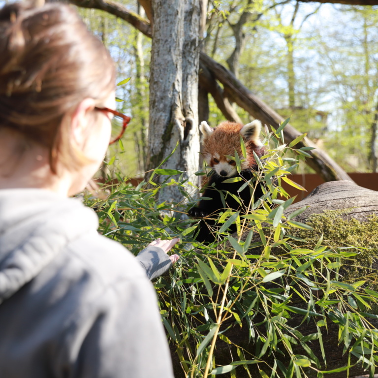 Page d&rsquo;accueil