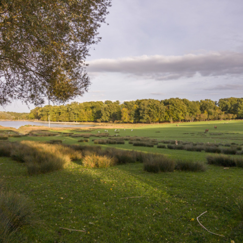 Trophées régionaux pour la biodiversité 2023