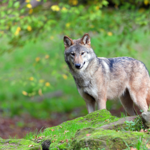 Grand week-end de la Conservation