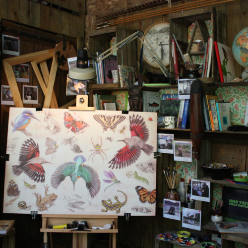 Ateliers créatifs – 4m² de nature