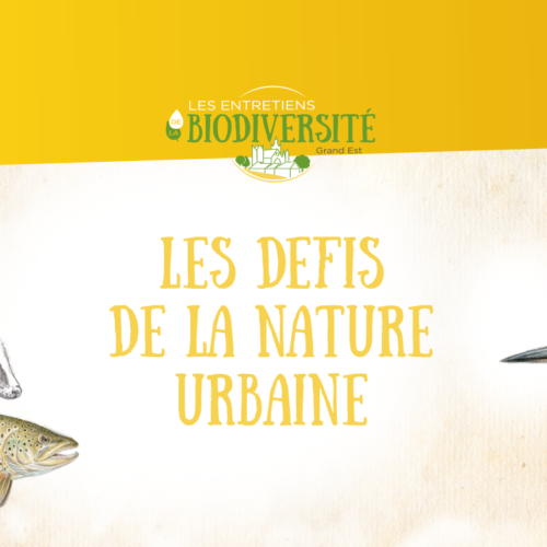 Les Entretiens de la Biodiversité urbaine 2024