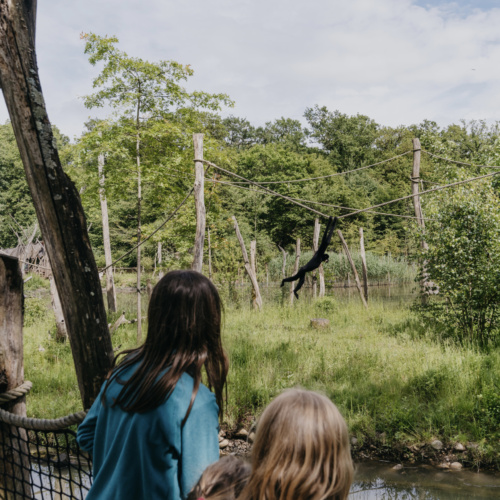 Cet été, vivez un séjour famille inoubliable au Parc de Sainte-Croix !