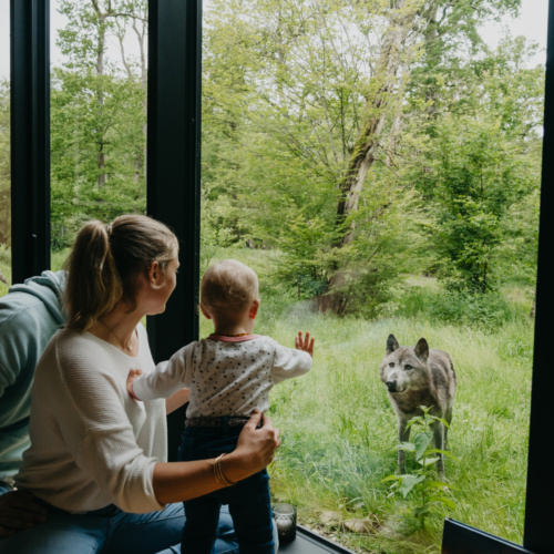 Votre séjour en famille 100% nature face aux animaux