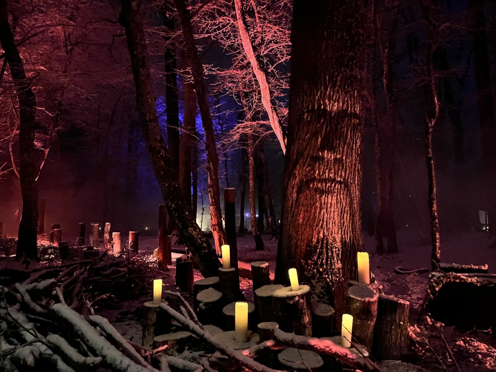 Parcours lumière d'hiver