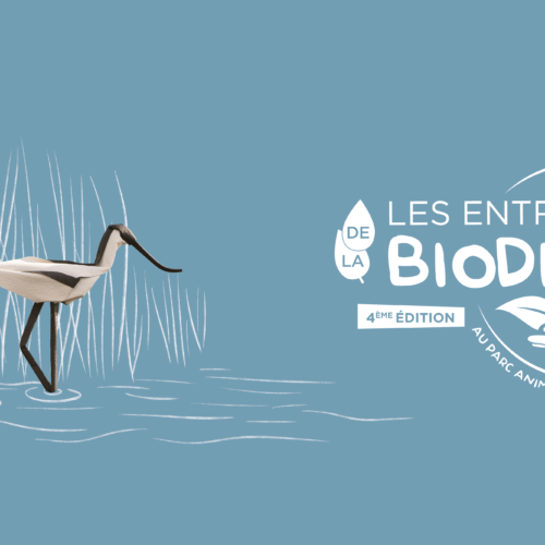 Les Entretiens de la Biodiversité 2025