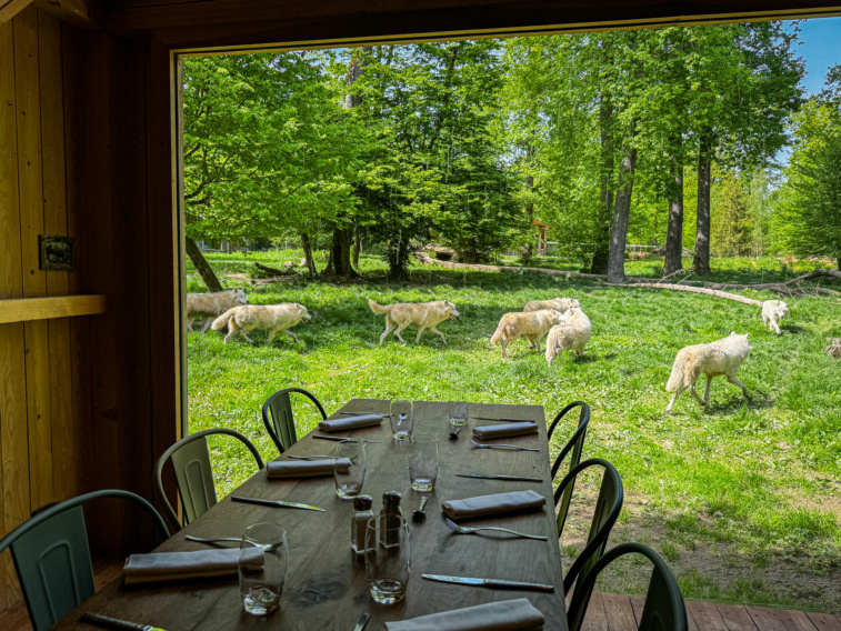 comptoir du trappeur