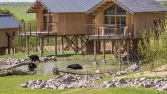 Lodge des ours