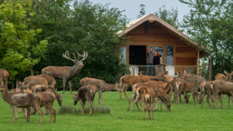 Lodge des cerfs
