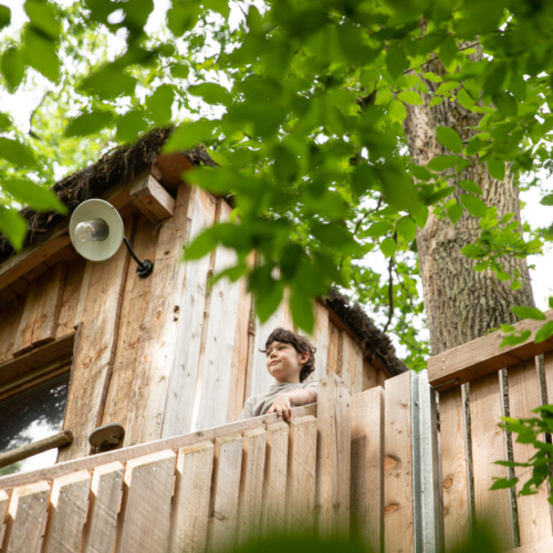 Dormir dans les arbres : une expérience unique au Parc Animalier de Sainte-Croix