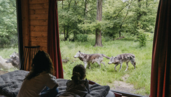 Lodge Jack London