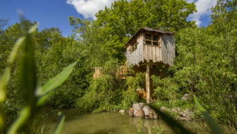 Cabane dans les arbres