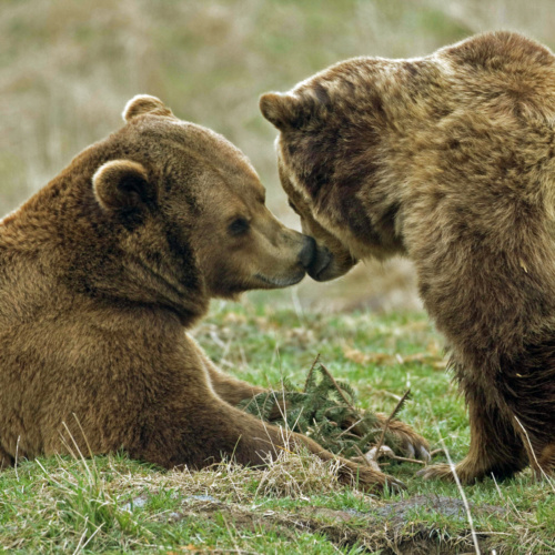 Fair Friday 2025 : Quand offrir devient un geste pour la nature !